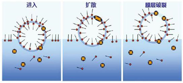 （圖：消泡劑消泡原理）