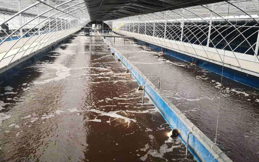水處理消泡劑