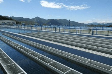 水處理消泡劑